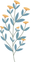 enkel botanisk element png