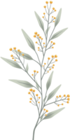 Simple Botanical elements png