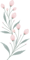 Simple Botanical elements png