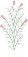 Simple Botanical elements png