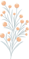 enkel botanisk element png