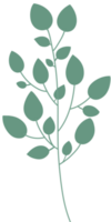 enkel botanisk element png