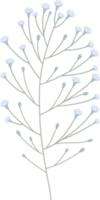 enkel botanisk element png