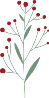 enkel botanisk element png