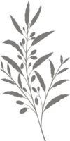 Simple Botanical elements png