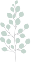 enkel botanisk element png