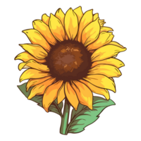 Sunflower modern pop art style, Sunflower illustration, simple creative design, . png