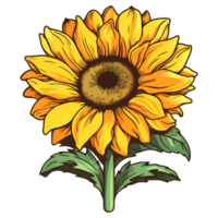 Sunflower modern pop art style, Sunflower illustration, simple creative design, . png