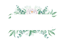 Watercolor horizontal frame, white peony, eucalyptus and gypsophila branches. Hand drawn botanical illustration. For wedding, greeting cards, baby shower, banners, blog templates, logos. png