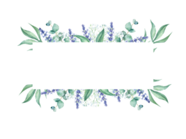 Watercolor horizontal frame, eucalyptus, gypsophila and lavender branches. Hand drawn botanical illustration. For wedding, greeting cards, baby shower, banners, blog templates, logos. png
