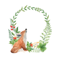 Woodland baby fox animal watercolor wreath with green branches and leaves, fern, cloudberry and red berries. Floral illustration for nursery, greeting cards, invitations, save the date, logos. png