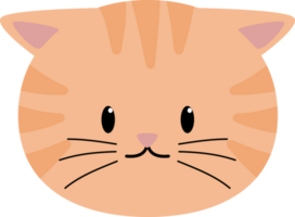 cute cat some orange stripes png