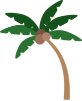 albero di cocco da spiaggia png