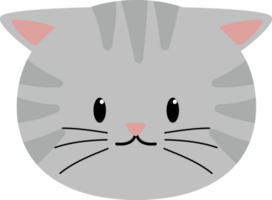 kat hoofd schattig grijs png