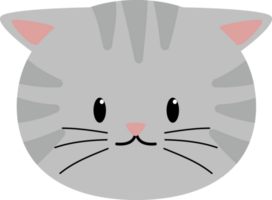 chat tête mignonne gris png