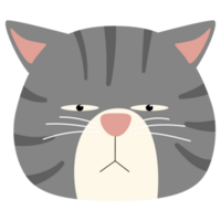 funny face cat head arrogant gray strip png