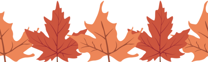 Autumn leaves seamless border illustration. Repeating ornament. png