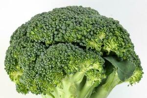 whole green broccoli closeup on white background photo