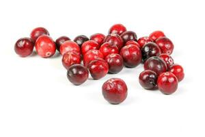 Small Red Cranberry photo