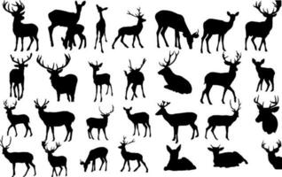 Deer Silhouette Design vector