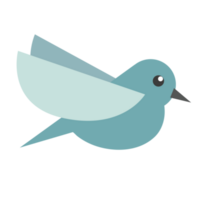 Cute bird cartoon png