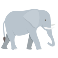 l'éléphant mignonne dessin animé png