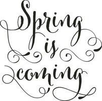 Black Spring Is Coming Calligraphy Letter On White Background. vector