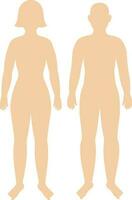 Orange Male And Female Body Silhouette On White Background. vector