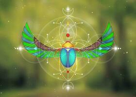 Sacred geometry, Scarab beetle on Flower of life, Mystical drawing of circles, triangles, moon, scheme of energy. Symbols of alchemy, magic, esoteric, occultism. Vector isolated on green nature