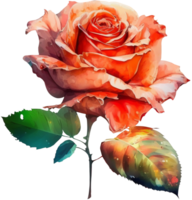 blühen Rose Aquarell botanisch ai generativ png