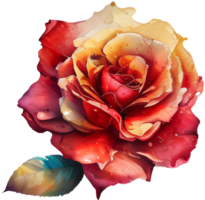 florecer Rosa acuarela botánico ai generativo png