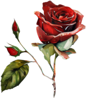fleur Rose aquarelle botanique ai génératif png