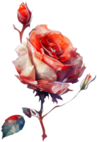 blühen Rose Aquarell botanisch ai generativ png