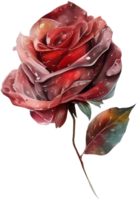 blühen Rose Aquarell botanisch ai generativ png