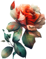 fleur Rose aquarelle botanique ai génératif png