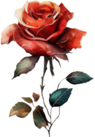 fiorire rosa acquerello botanico ai generativo png