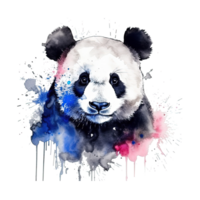 Cute watercolor panda. Illustration png