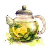 Watercolor green tea. Illustration png