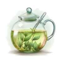 Watercolor green tea. Illustration png