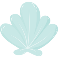 Sea shell. Illustration png