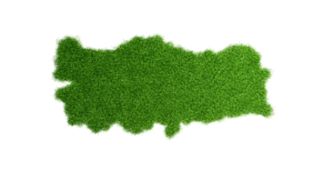 gedetailleerd kalkoen kaart met groen gras 3d illustratie png