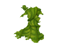 Wales kaart gemaakt van groen bladeren, concept ecologie kaart groen blad png