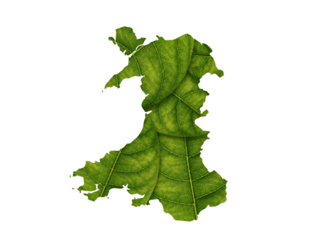Gales mapa hecho de verde hojas, concepto ecología mapa verde hoja png