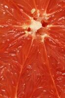 Ruby red grapefruit cut closeup photo