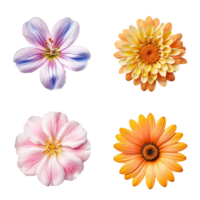 urval av olika blommor isolerat på transparent bakgrund. ai genererad png