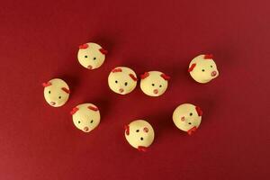 Chinese New Year rat mouse shaped cookie on red background photo