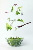 Mix leafy vegetable salad green purple lettuce glass bowl elevated flying dropping photo