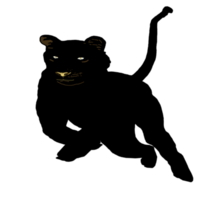 ikon tiger kung av de djungel png