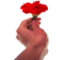 icona dare un' rosa mostrare sensazione png