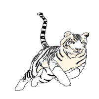 Symbol Weiß Tiger png